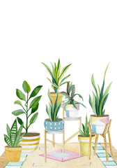 Warecolor banner with house plants in pots. Hand painted decorative greenery collection for greeting card, invintation design. Illustration for plant lady - 312931740