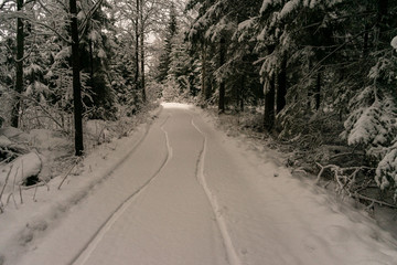 Fahrrad abdr&uuml;cke auf dem schnee