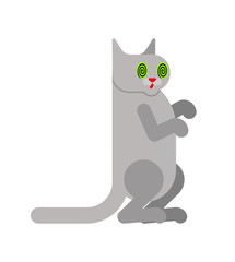 Hypnotized cat Isolated. Eyes were spiraling. vector illustration 