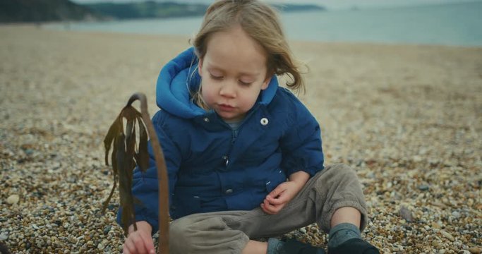 Little toddler sitting on the beach playing with a seaweed stick in the winter