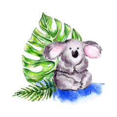 Hand-drawn watercolor cute little koala and green tropical leaves on a white isolated background for use in design, element for greeting cards © Елена Коваленко