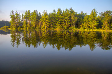 Fototapeta na wymiar Forest Lake Reflections. Beautiful wilderness forest reflected in the calm water of a northern Michigan lake