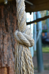 old rope on wooden background