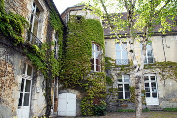 Ville de Mortagne-au-Perche, vieille bâtisse avec tourelle et vigne vierge, centre historique de la ville, département de l'Orne, France