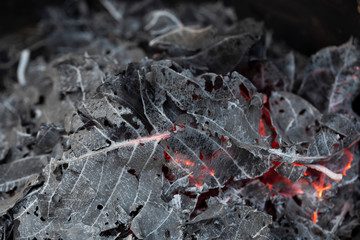 Burning fire of dried leaves