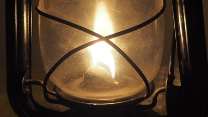 OLYMPUS DIGITAL CAMERA © Magorzata