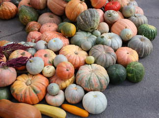 A lot of big pumpkins in the market