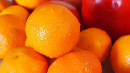 OLYMPUS DIGITAL CAMERA © Magorzata