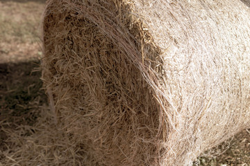 Stack of dry hay as an abstract background