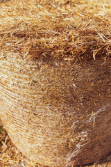 Stack of dry hay as an abstract background