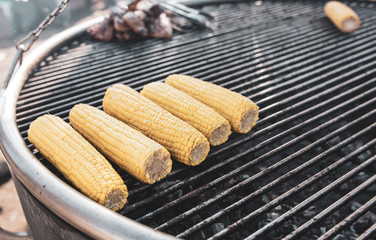 Grilling yellow corn on the coals