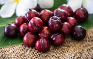 Fresh sweet plums on sackcloth.