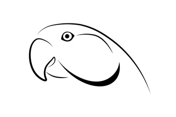 Parrot head simple design. Black linear sketch on white background. Vector illustration
