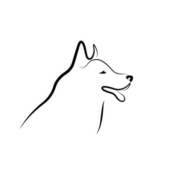 Dog head contour. Simple black linear sketch on white background. Vector illustration