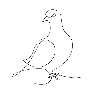 recommend clip art: Pigeon in continuous line art drawing style. Black linear sketch on white background. Vector illustration