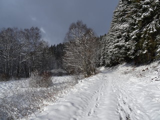Winterlandschaft