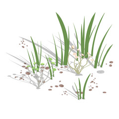 Fototapeta premium Growing climbing mushrooms with grass and stones on a white background. Vector illustration.