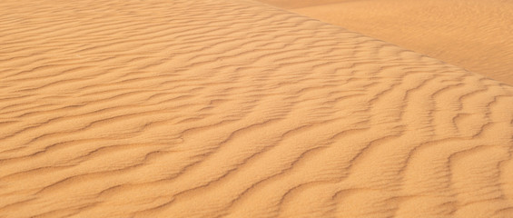 Beautiful desert with yellow sand.  Nature texture.