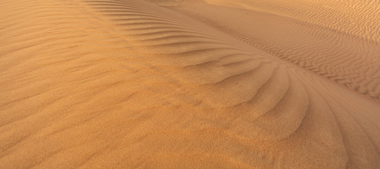 Beautiful desert with yellow sand.  Nature texture.