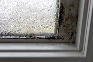 Mold fungus and moist in right corner of window frame and on glass