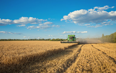 Harvesting combine in the field