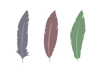 Feathers set