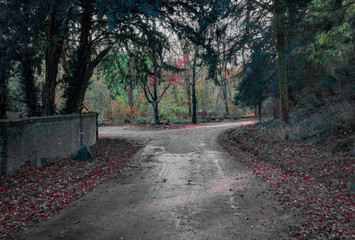 alley in the park