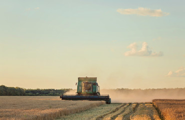 Harvesting combine in the field