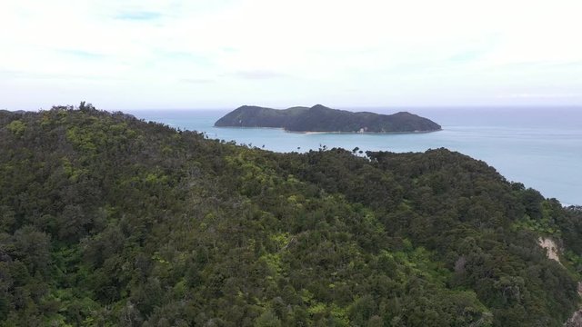 national park of abel tasman in new zealand, aerial view over the rain forrest in abel tasman, 