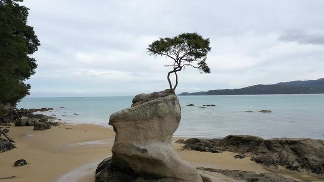 national park of abel tasman in new zealand, aerial view over the rain forrest in abel tasman, 