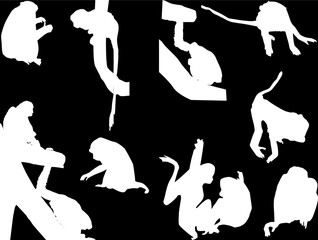 set of eleven monkeys isolated on black