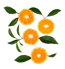 Citrus fruits isolated on white background. Isolated citrus fruits. Pieces of mandarin isolated on white background, with clipping path. Top view.
