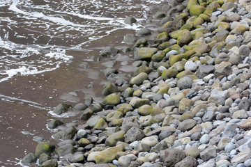 along the wild coast of Madeira, Portugal