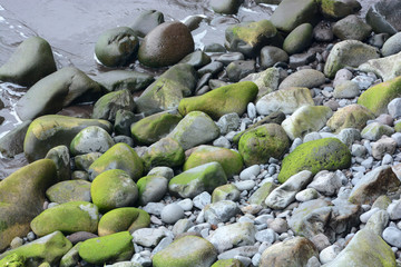 along the wild coast of Madeira, Portugal