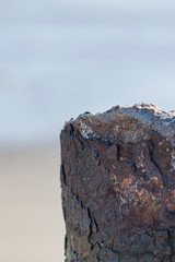 Portion of broken cement with traces of rust, taken in macro mode and bokeh background