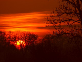 Sonnenuntergang im Geäst an der Amper 