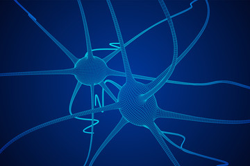 Neuron system wireframe mesh model. Low poly vector illustration. Science and medical healthcare concept