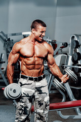 Fototapeta na wymiar Strong Muscular Men Exercise With Dumbbells at the Gym