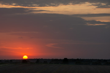 Beautiful purple sunset with clouds, field and horizon
