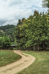 Dirt road of Villa Becerra, La Ceiba, Honduras vertical photo.