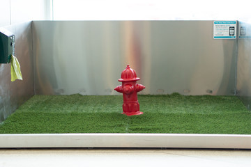 Fire Hydrant on the Green