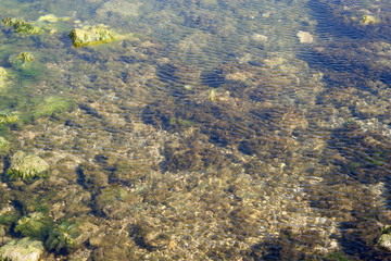 Crystal sea surface with the view of sea floor green and brown algae