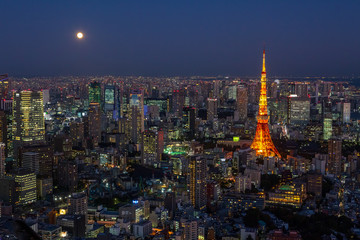 Fototapeta premium TV tower, Tokyo lights, Japan