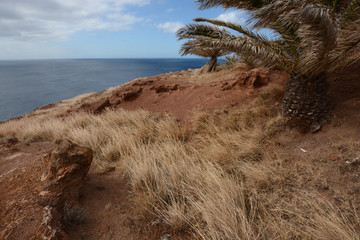along the wild coast of Madeira, Portugal