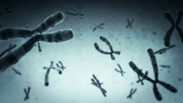 Chromosomes. Loopable. Blue. Highly detailed animation of chromosomes floating. More options in my portfolio. 