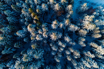 Fototapeta na wymiar Aerial view on the mountain landscape in winter season.