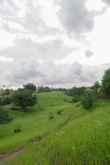 Fototapeta na wymiar the cloudy green hill
