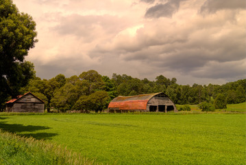 ibs field and barn