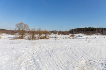 Fototapeta na wymiar Panorama of a wild field located on the edge of a birch forest. The photo was taken on a Sunny day in early spring. Vladimir region, Russia.