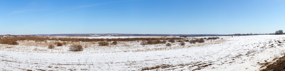 Panorama of a wild field located on the edge of a birch forest. The photo was taken on a Sunny day in early spring. Vladimir region, Russia.